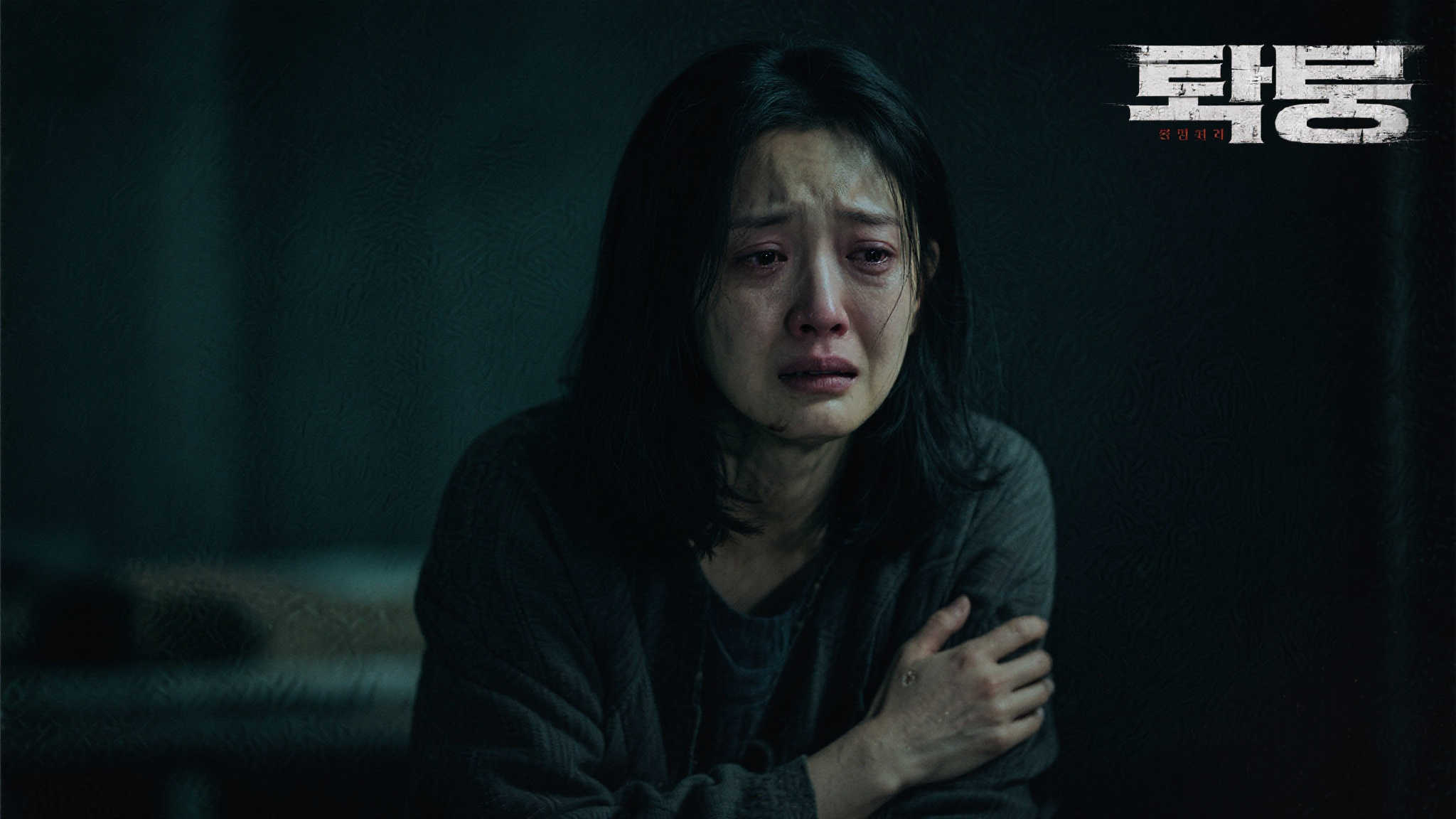 fn 蜂鸟电竞简介