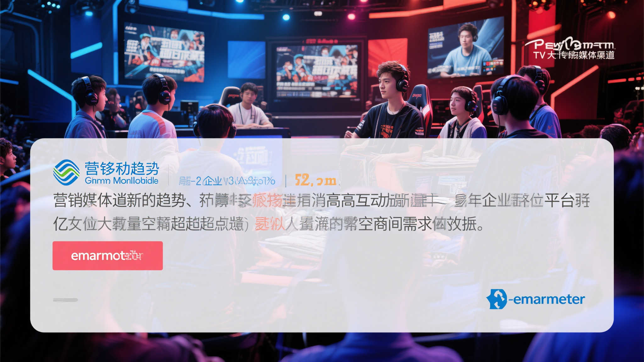 fn 蜂鸟电竞简介